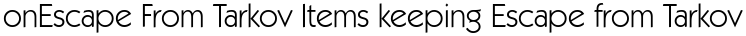on Escape From Tarkov Items keeping Escape from Tarkov